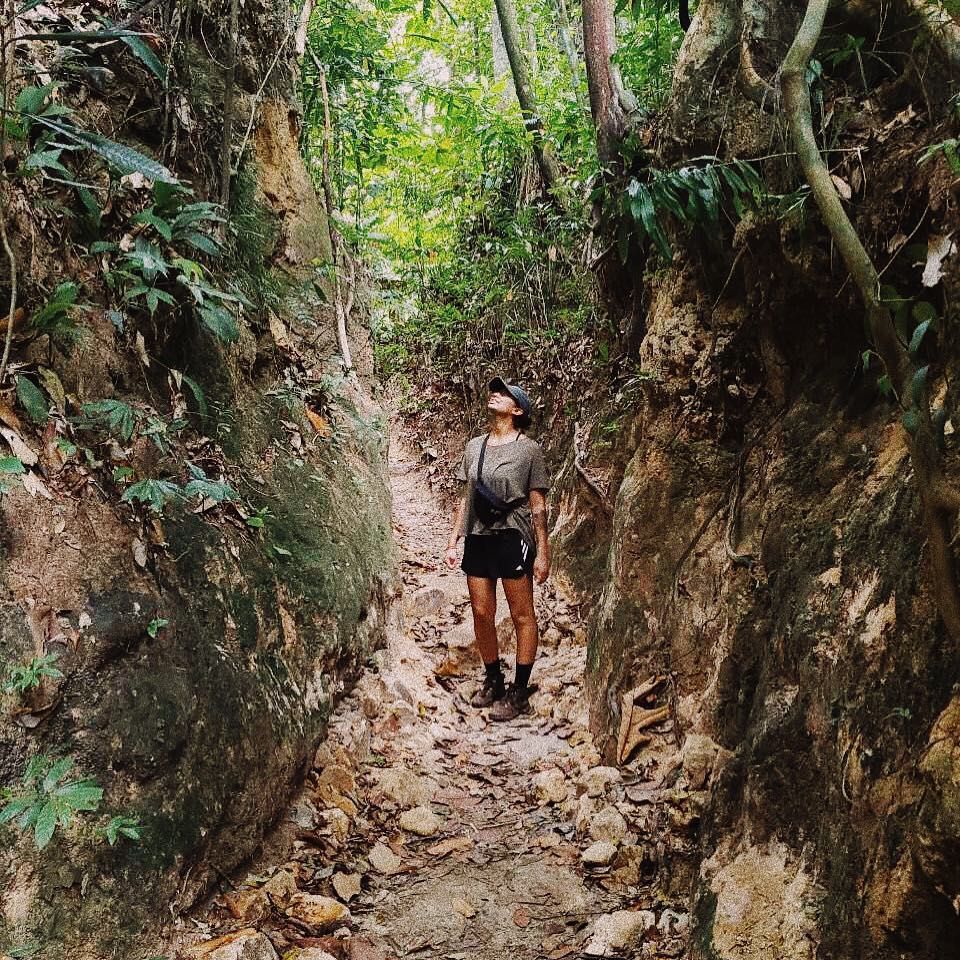 Hiking trails Malaysia - Penang National Park Hiking Trail