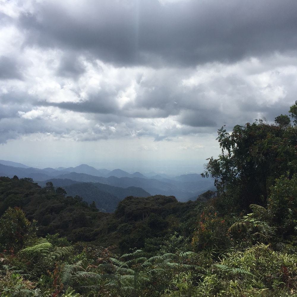 Hiking trails Malaysia - View from the peak of Cameron Highlands hiking trail