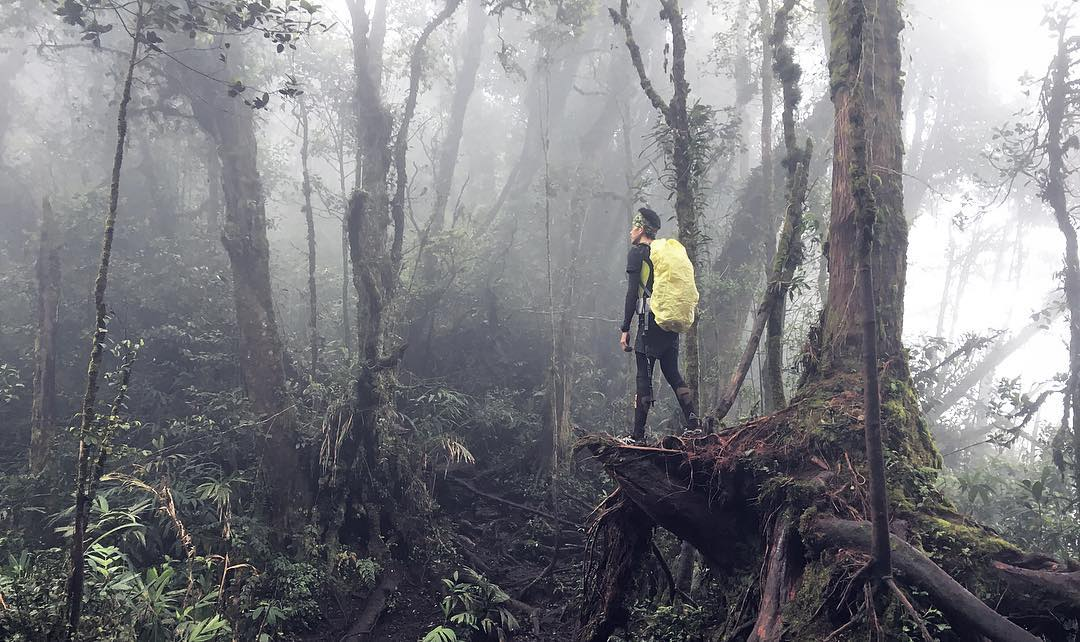 Hiking trails Malaysia - Misty forest at Cameron Highlands