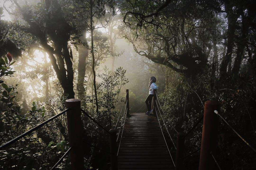 Hiking trails Malaysia - Girl at misty Mossy Forest Cameron Highlands
