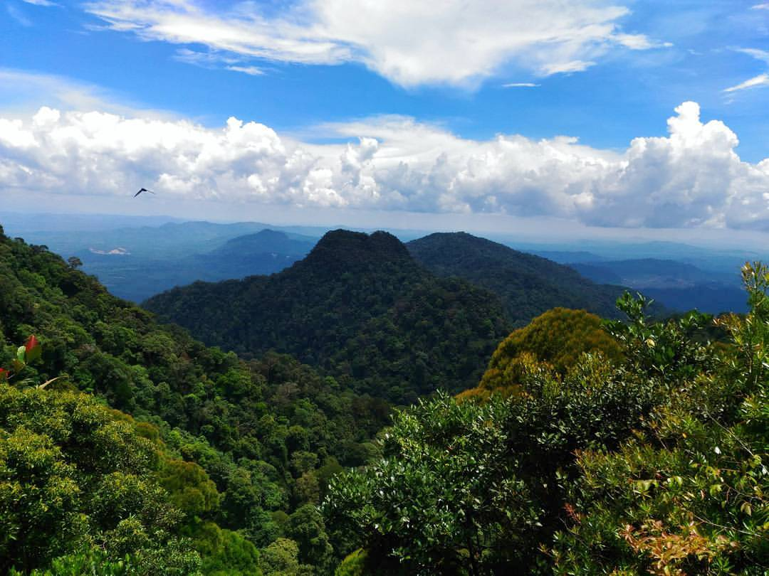 Hiking trails Malaysia - View from the peak of Mount Serapi Sarawak