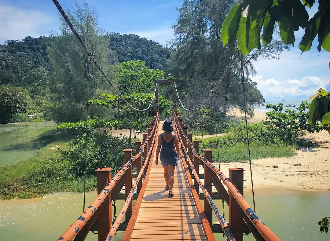 Hiking trails Malaysia - Suspension bridge at Penang National Park