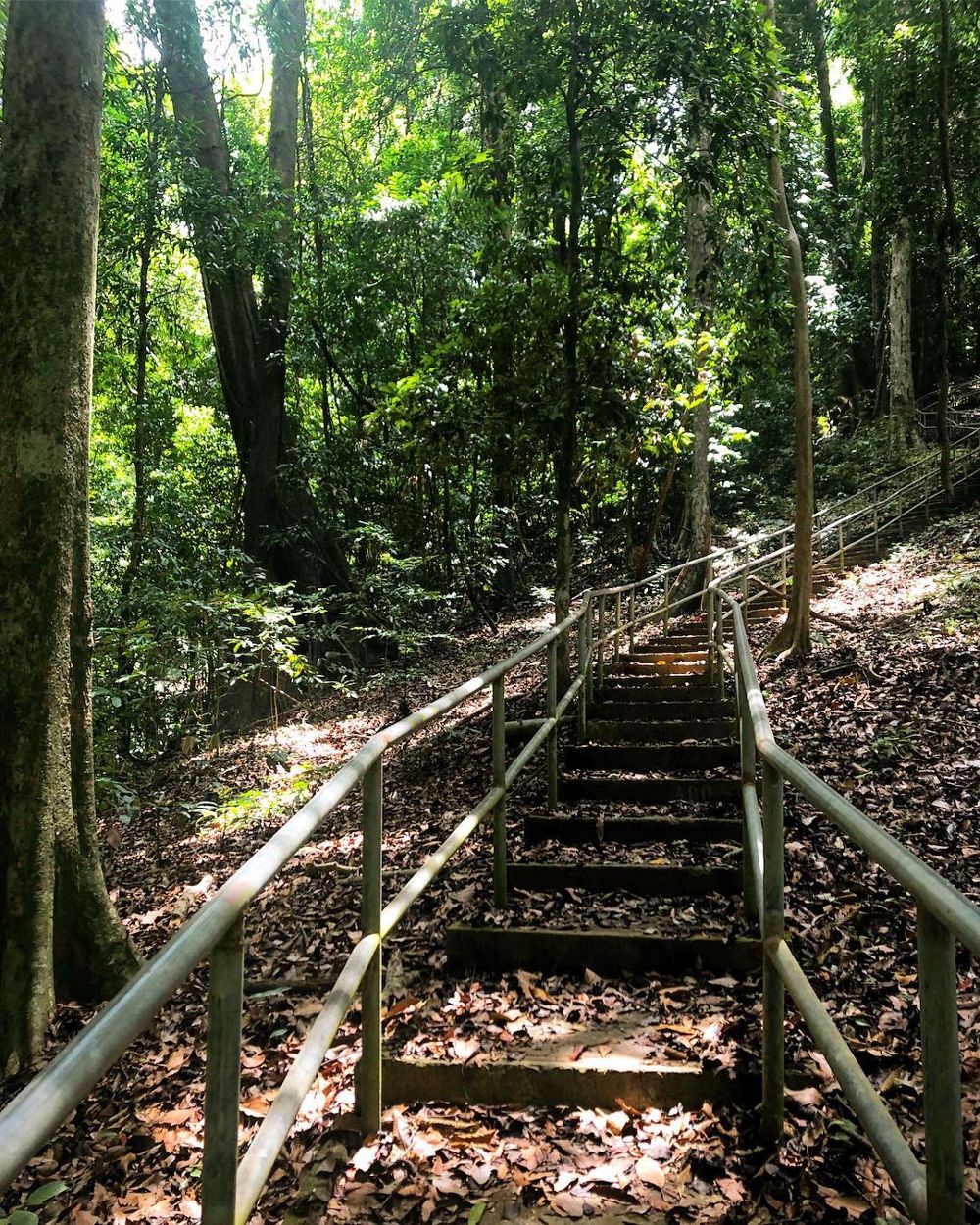 Hiking trails Malaysia - Staircase hiking trail at Mount Raya, Langkawi