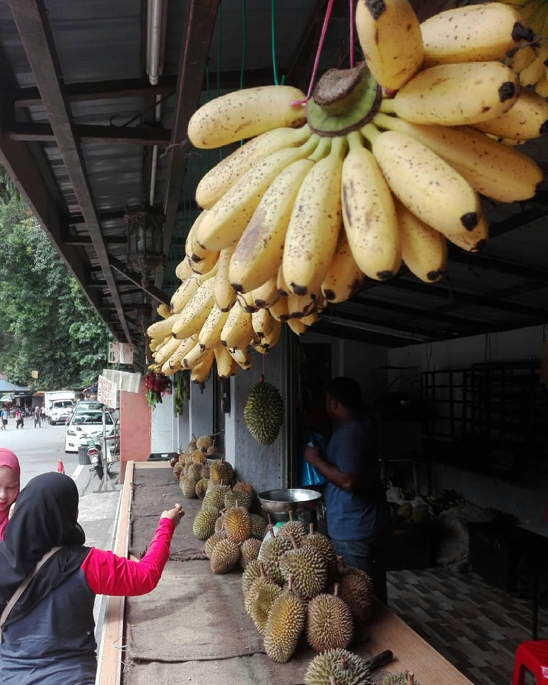 local fruits lata iskandar