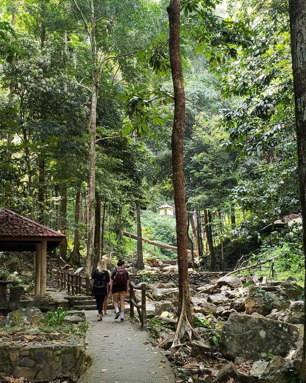 woods trail temurun waterfall langkawi