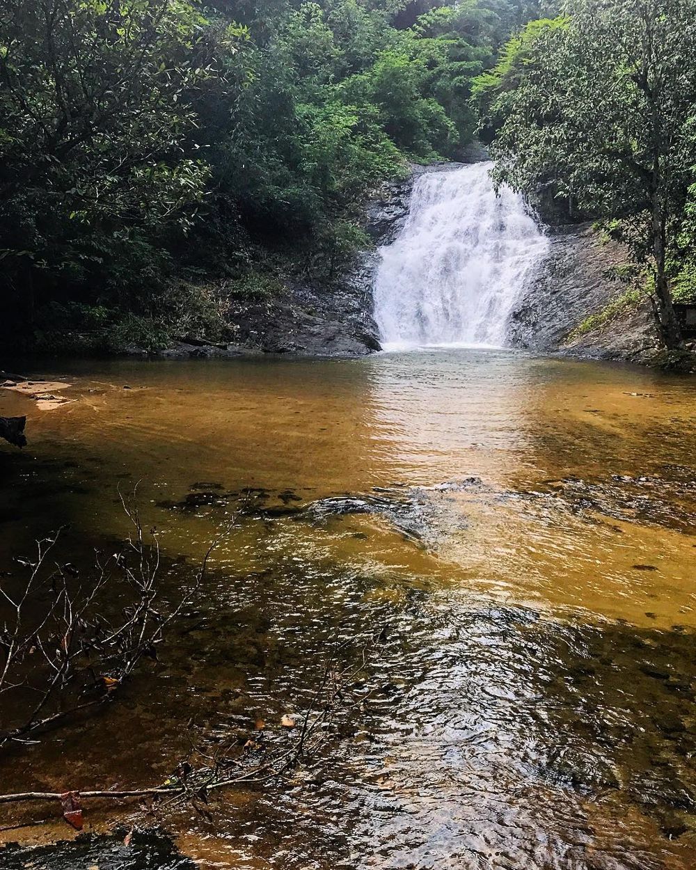 lata bukit hijau