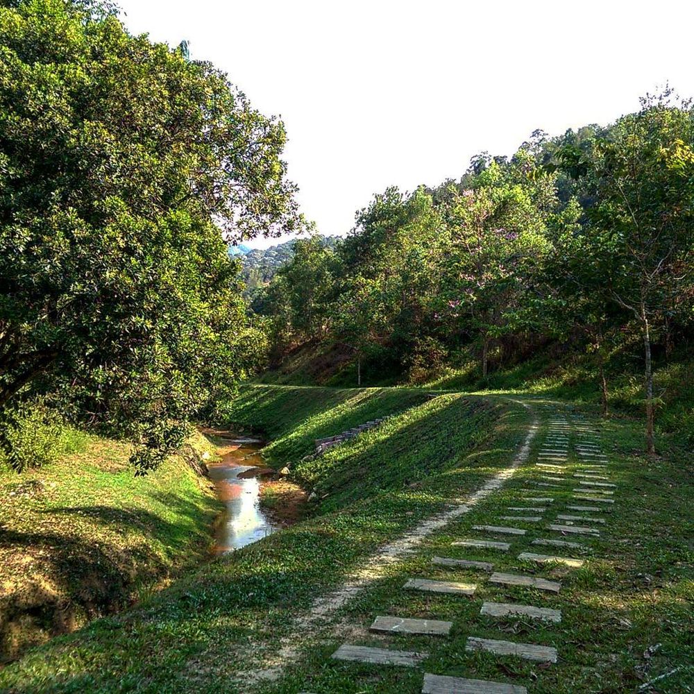 chin farm waterfall