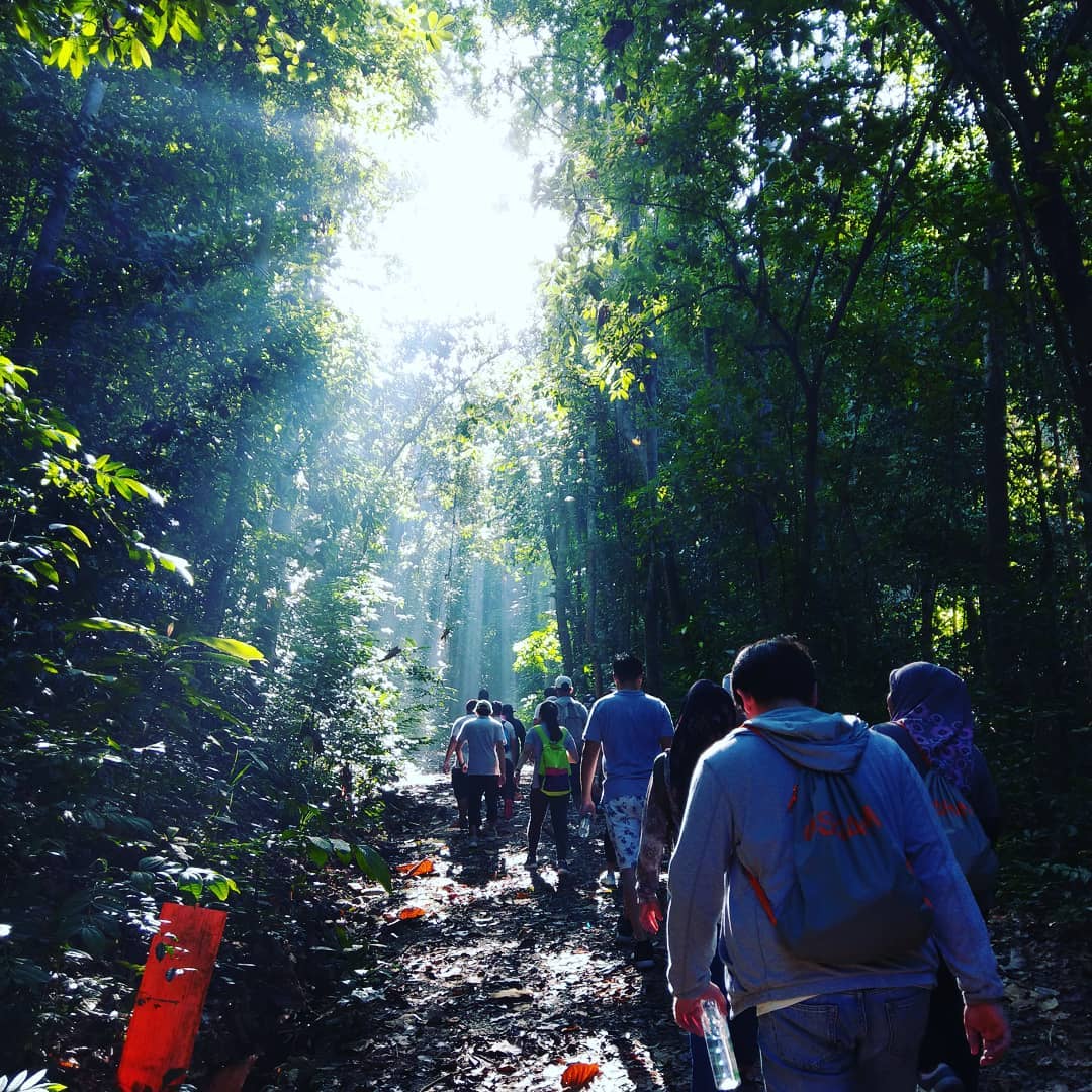 Jungle trekking