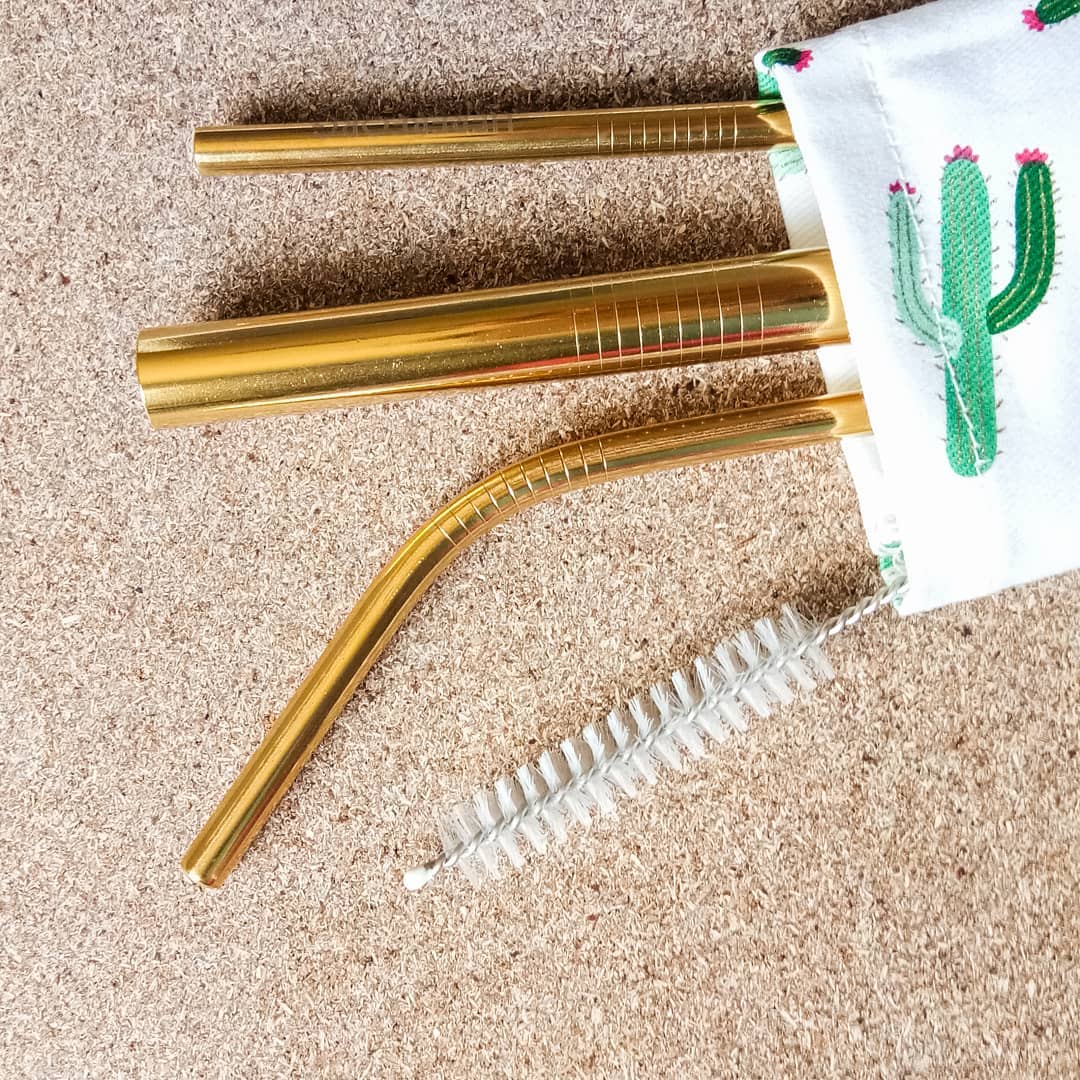 metal straws + pouch