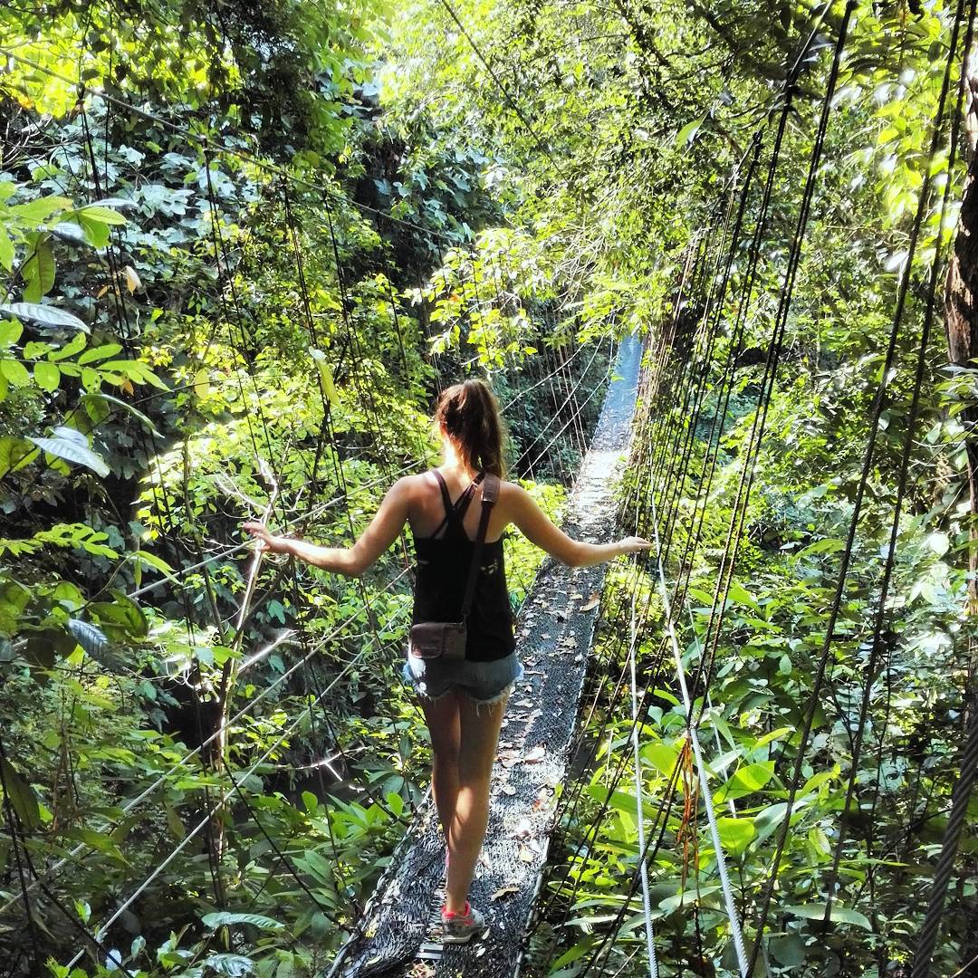 Suspension bridge