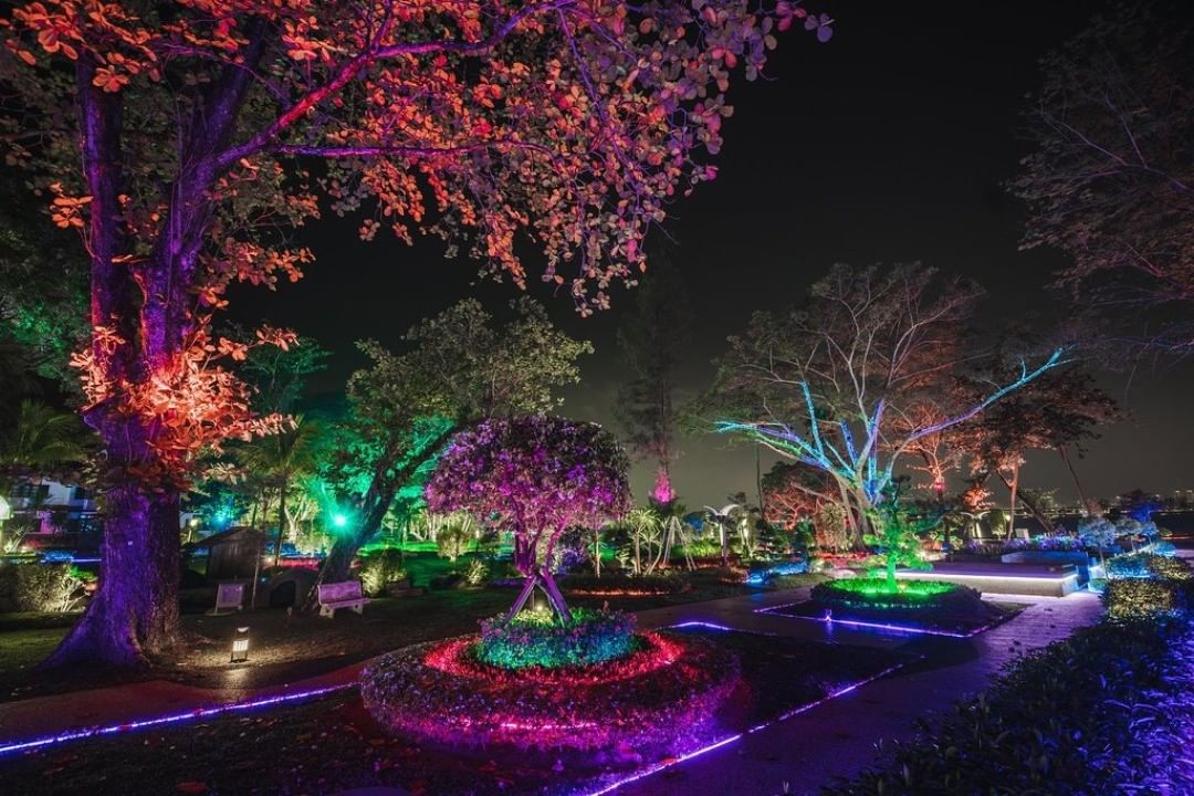 LED park