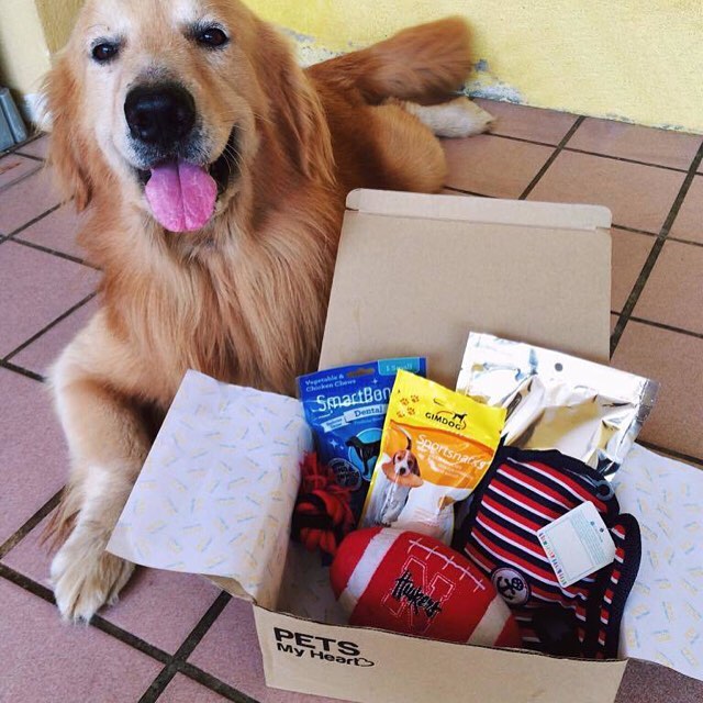 subscription box for pets
