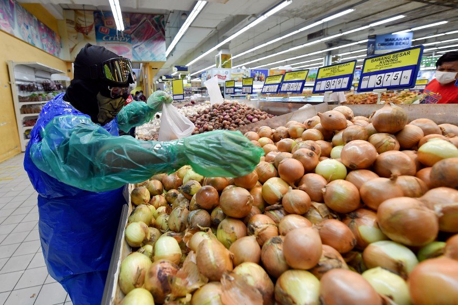 Man picking onions