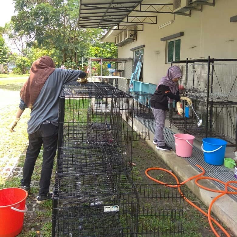 SPCA cleaning cages