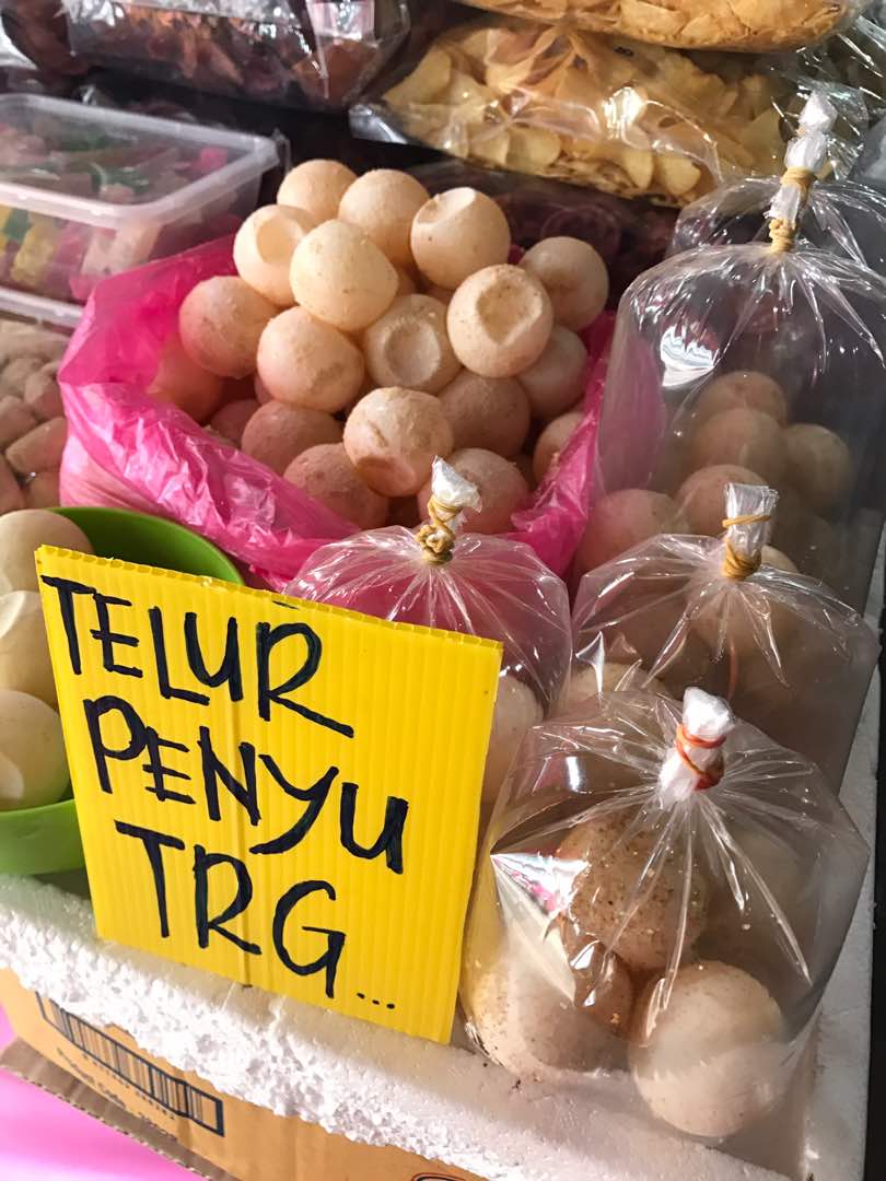 Turtle eggs for sale
