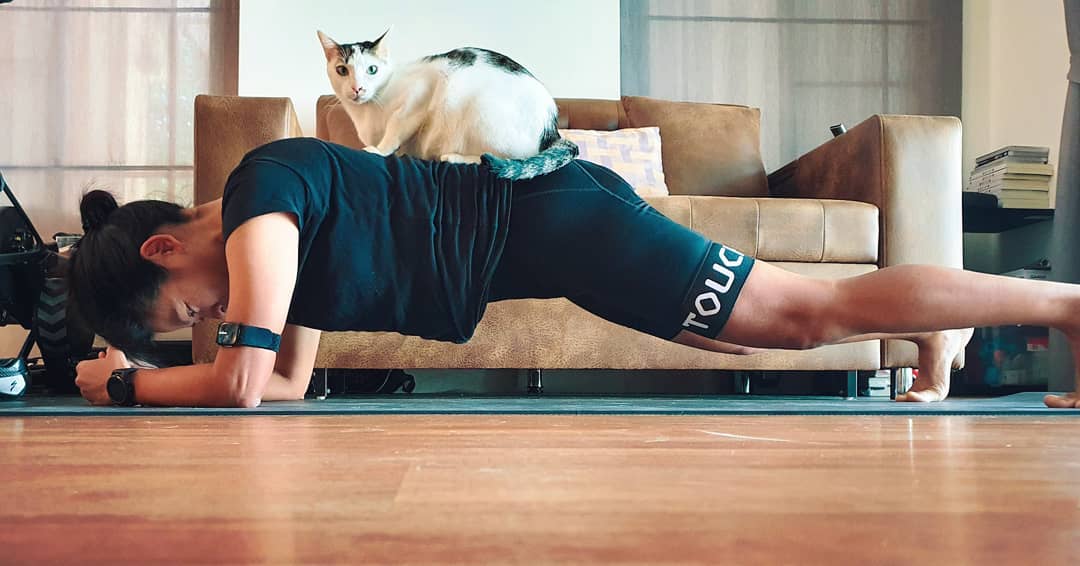 Plank with pets
