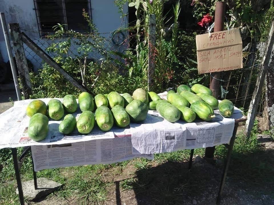 Sabahans Leave Out Free Fruits & Veggies For Their Neighbours