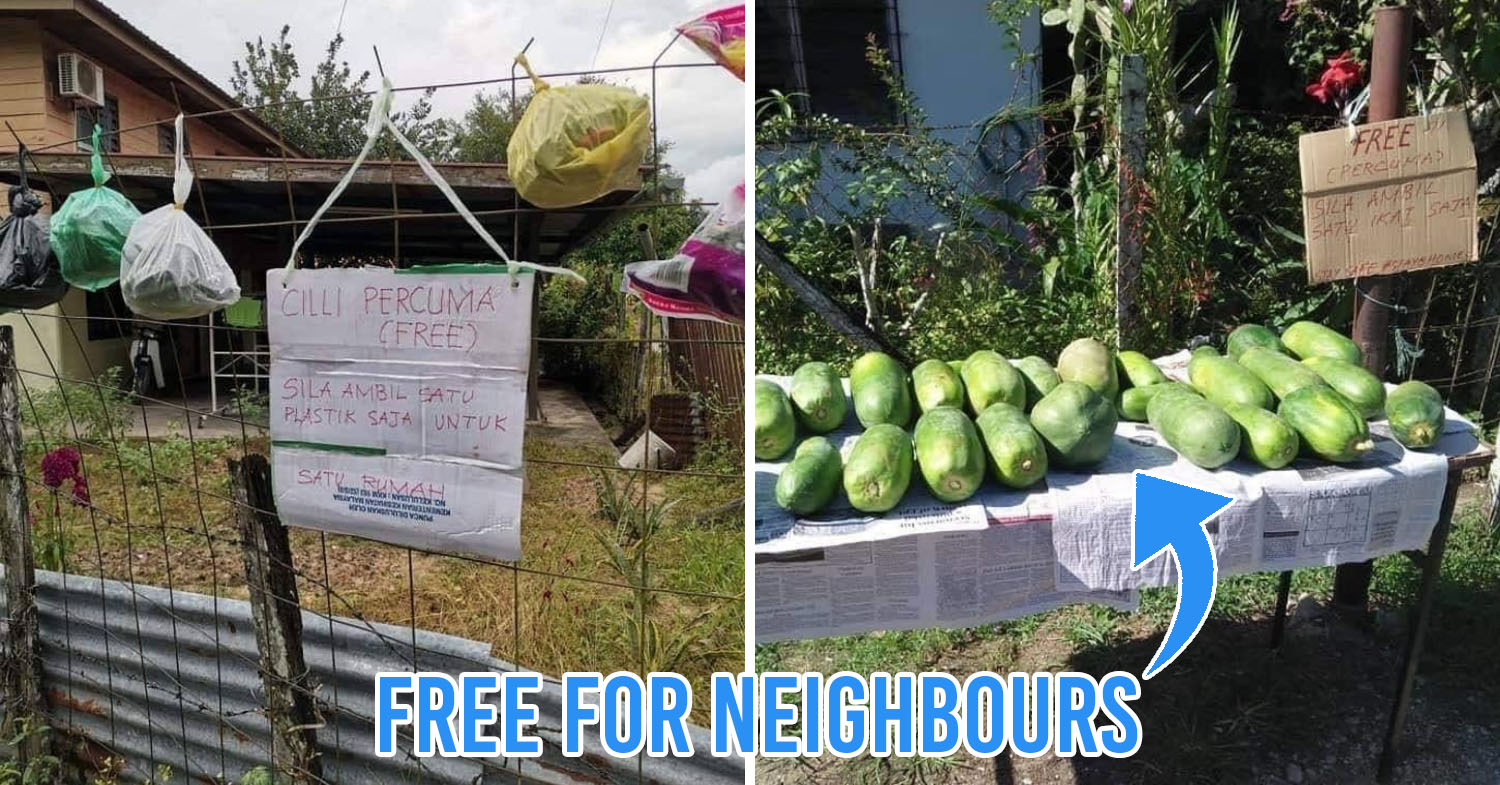 Sabahans donate Free Fruits & Veggies For Their Neighbours