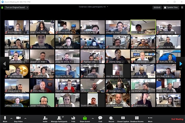 zoom big group call