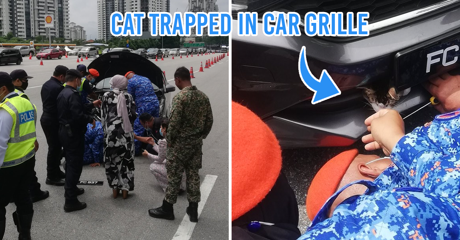 Car stopped at roadblock after cat found in car bumper