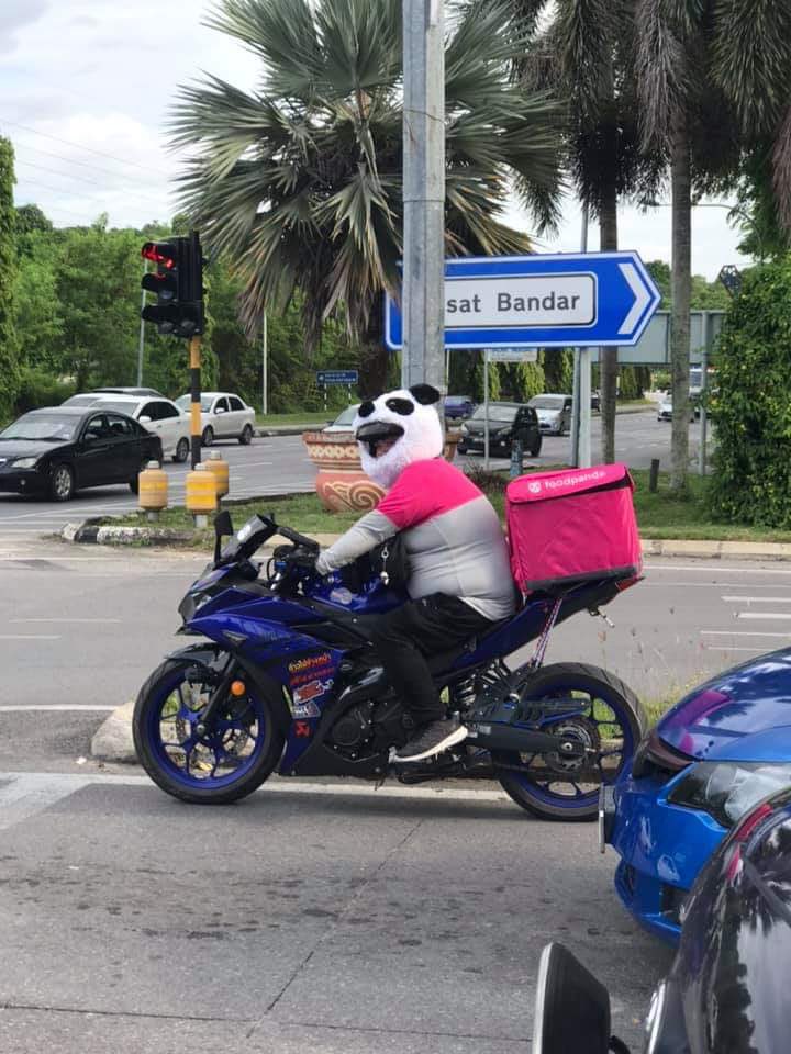 foodpanda rider wearing panda head costume