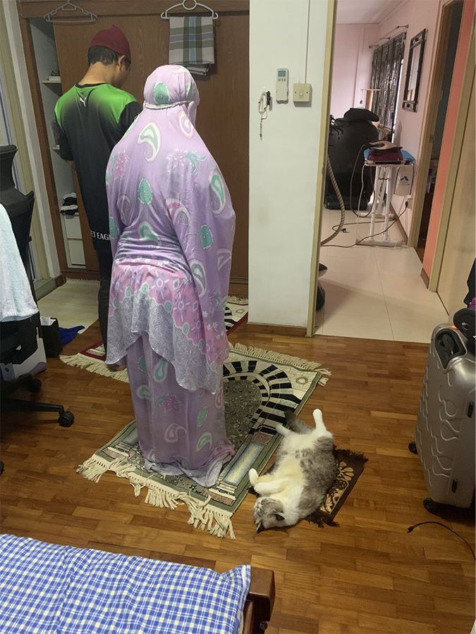 Cat joins in on prayer times