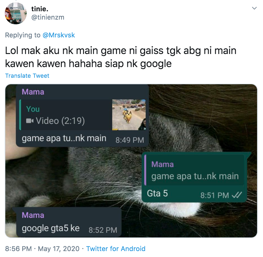 Mothers also want to play GTA V