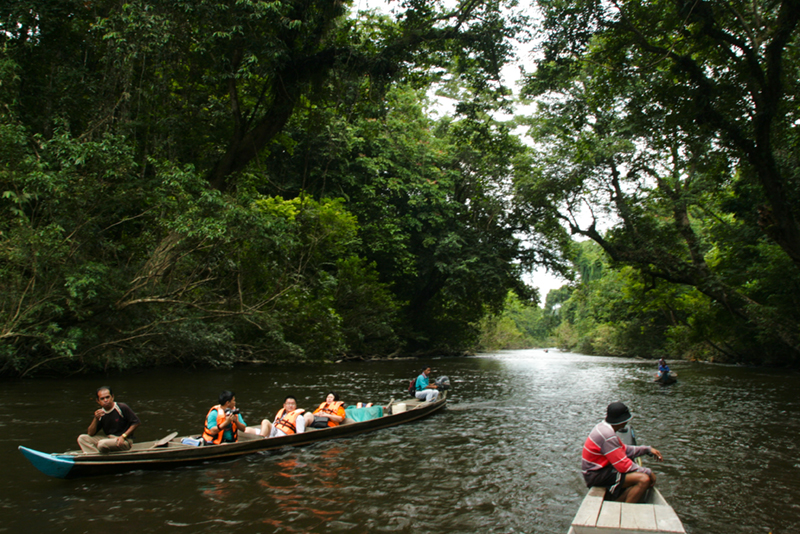 taman negara, jerantut