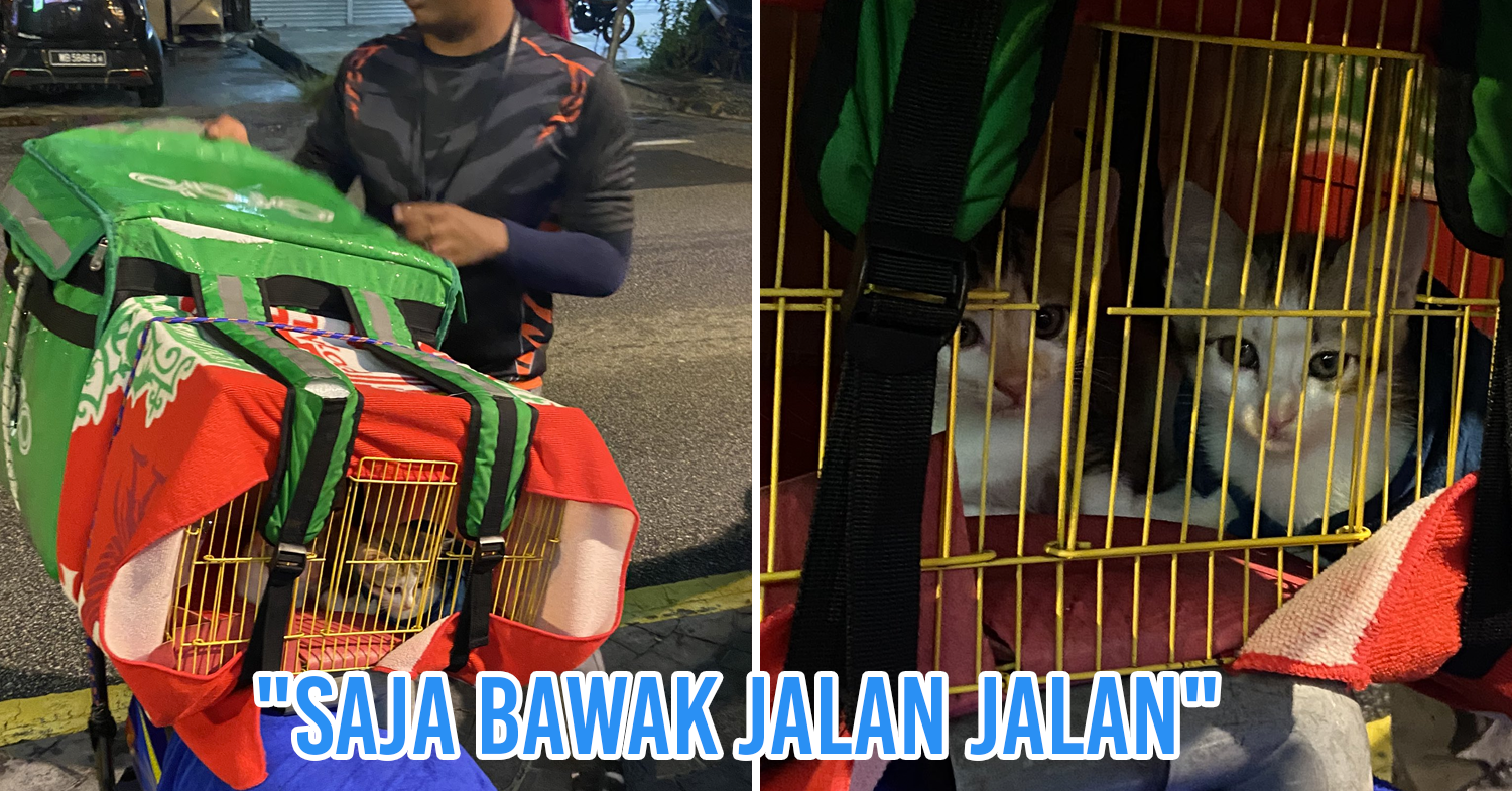 Malaysian GrabFood driver brings cats along for deliveries