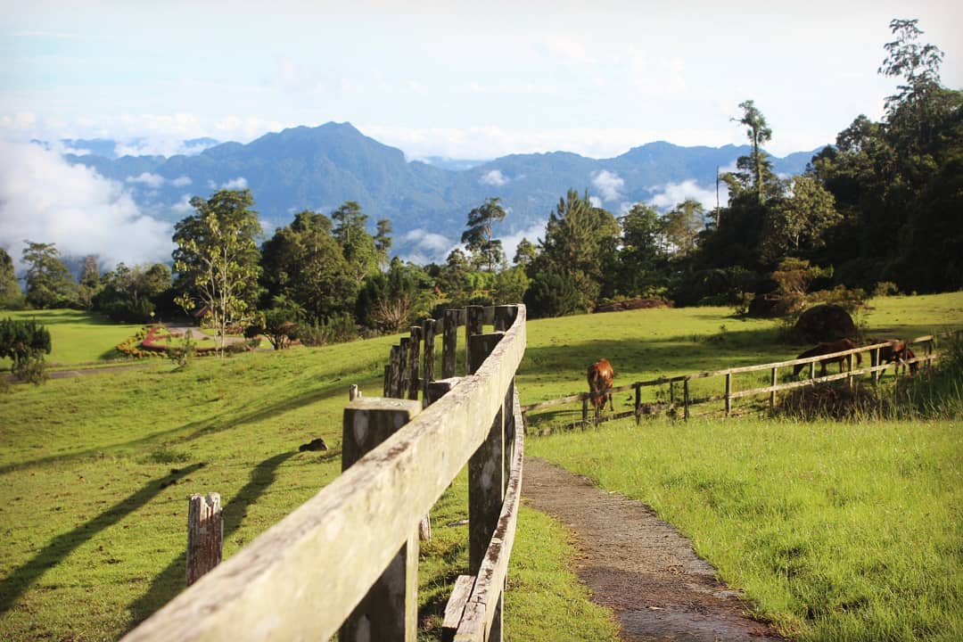 mountain resorts malaysia - borneo highlands resort