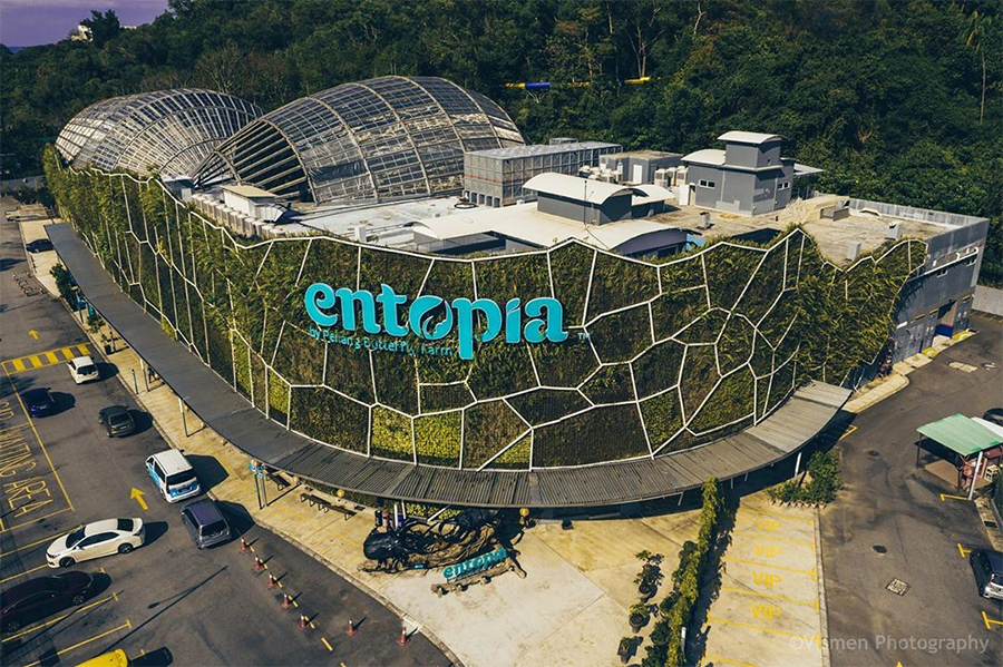 Entopia In Penang Has Over 15,000 Butterflies & A Nature-Themed Cafe