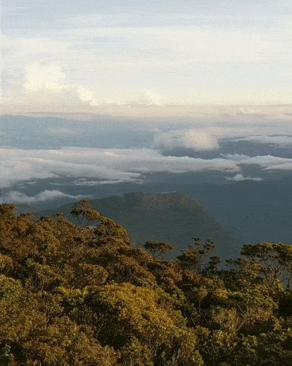 Sabah hiking trails - Mount Trusmadi view