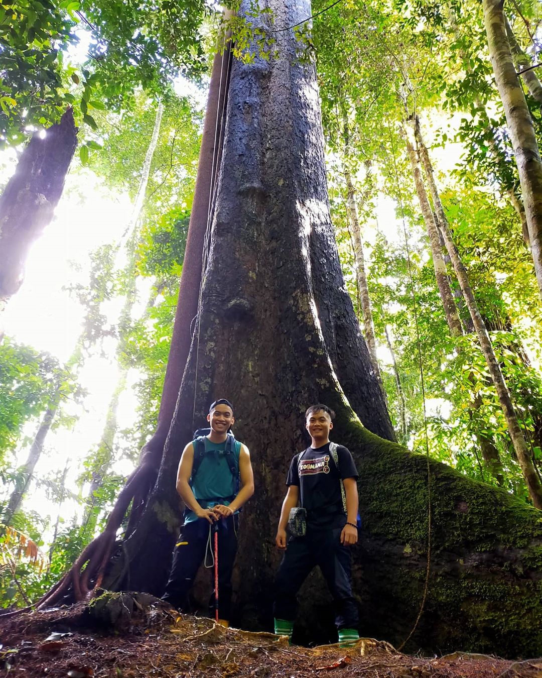 Sabah hiking trails - Mount Trusmadi