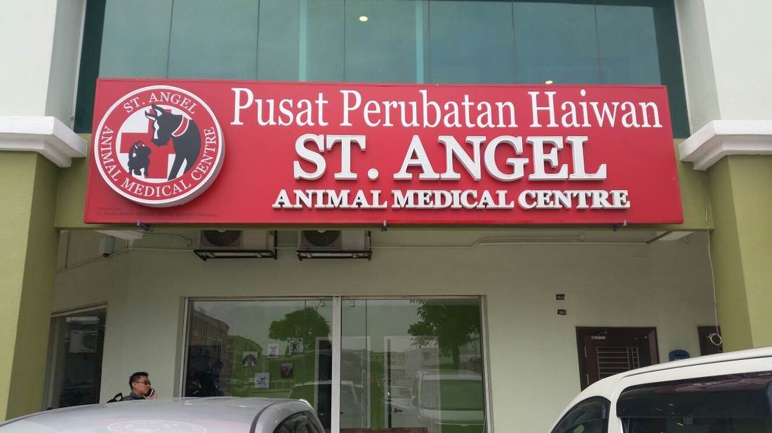 Veterinarians clinics and animal hospitals - St. Angel Animal Medical Centre