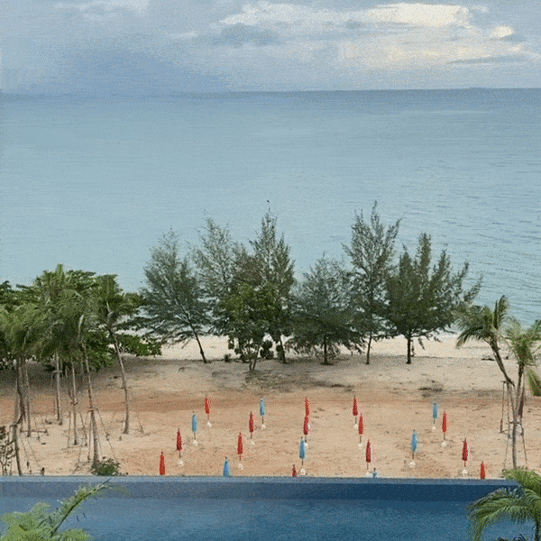 Angsana Teluk Bahang - view from room