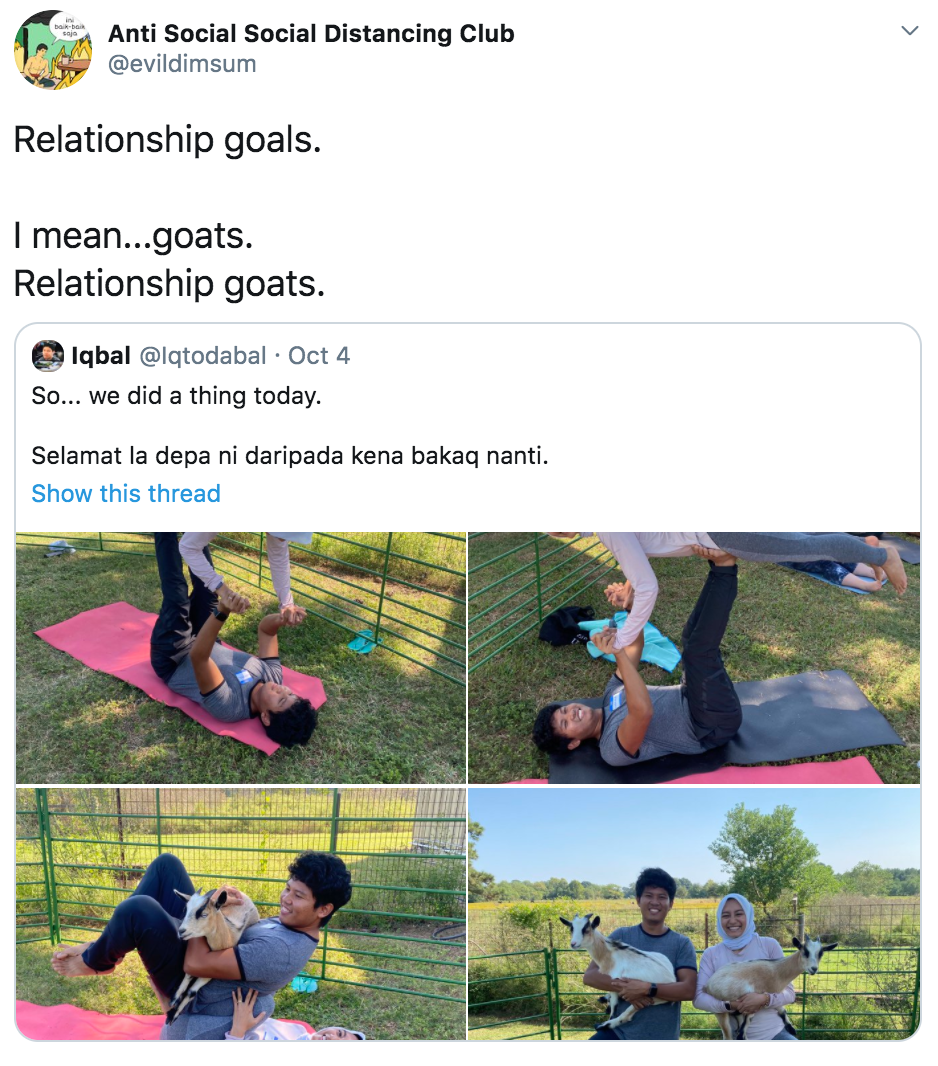 Yoga with goats - comment