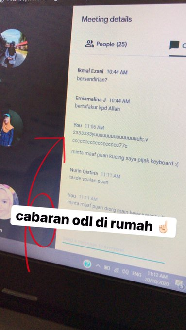 Malaysian manja cats kacau students online classes - original tweet