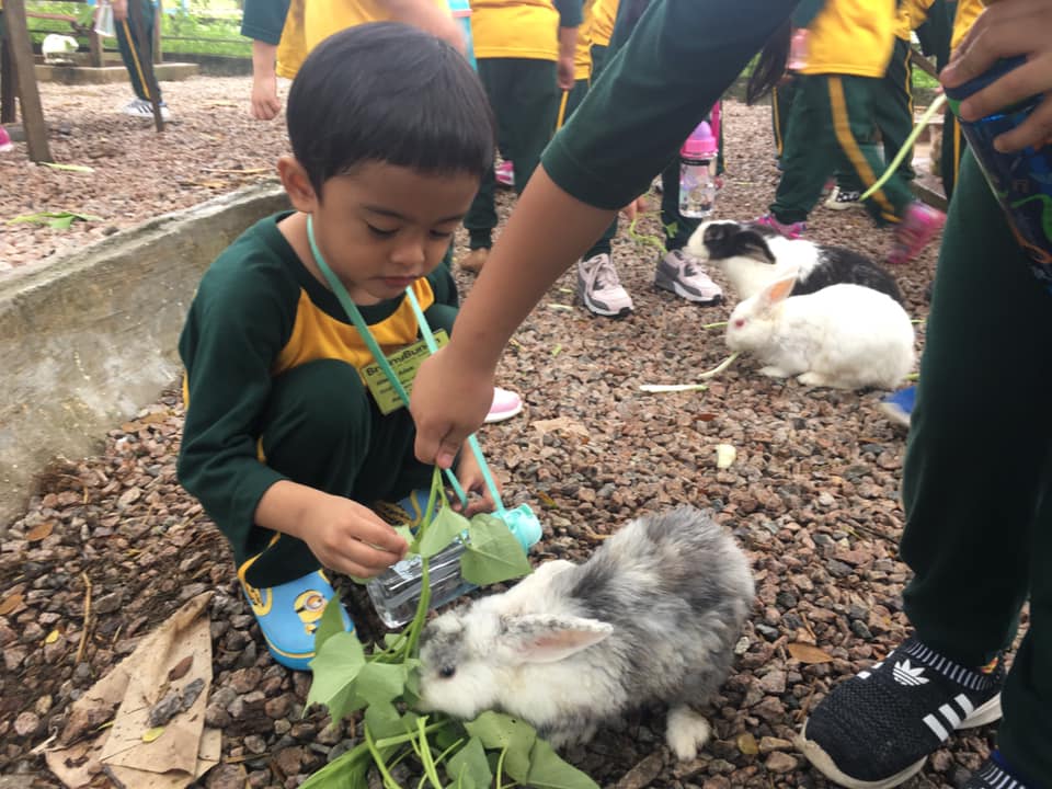 Things To Do Johor Bahru - Zenxin Organic Park animal feeding