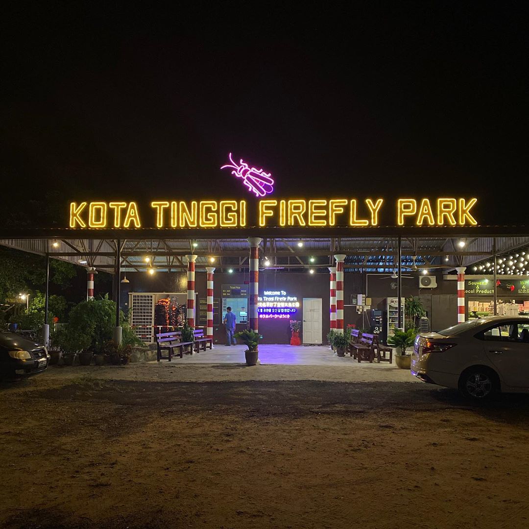 Things To Do Johor Bahru - Kota Tinggi Firefly Park