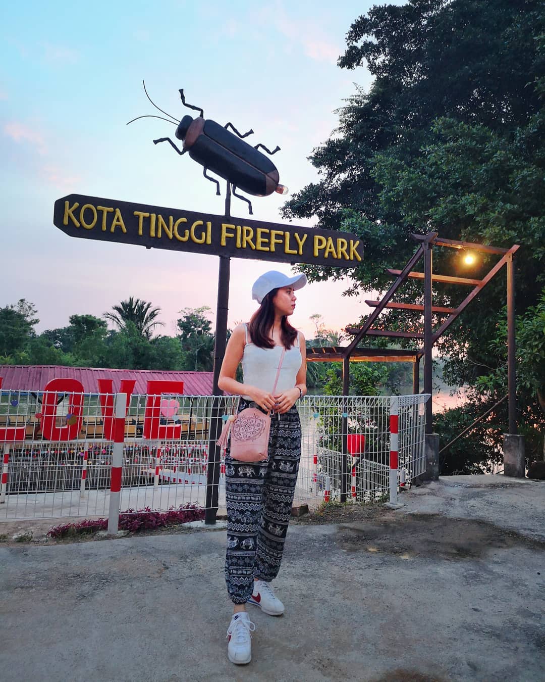 Things To Do Johor Bahru - Kota Tinggi Firefly Park