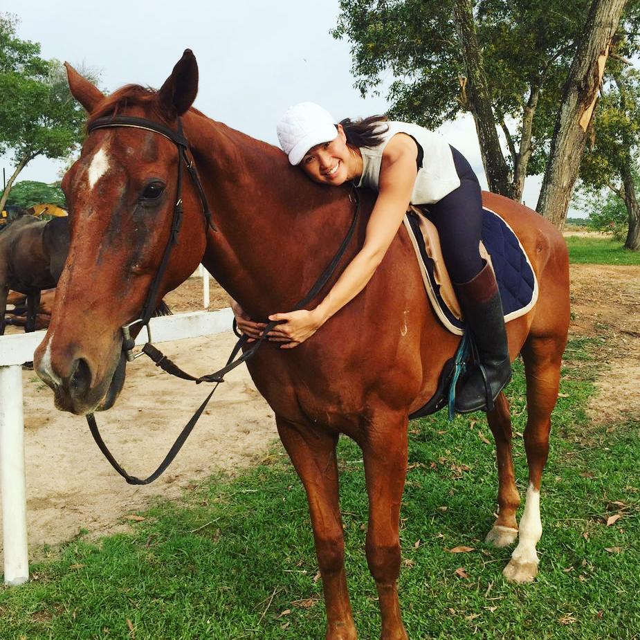 Things To Do Johor Bahru - Amigos Horse Riding