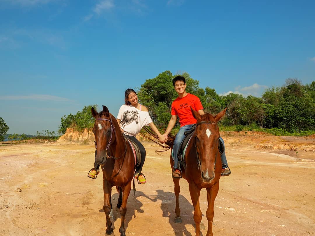 Things To Do Johor Bahru - Amigos Horse Riding