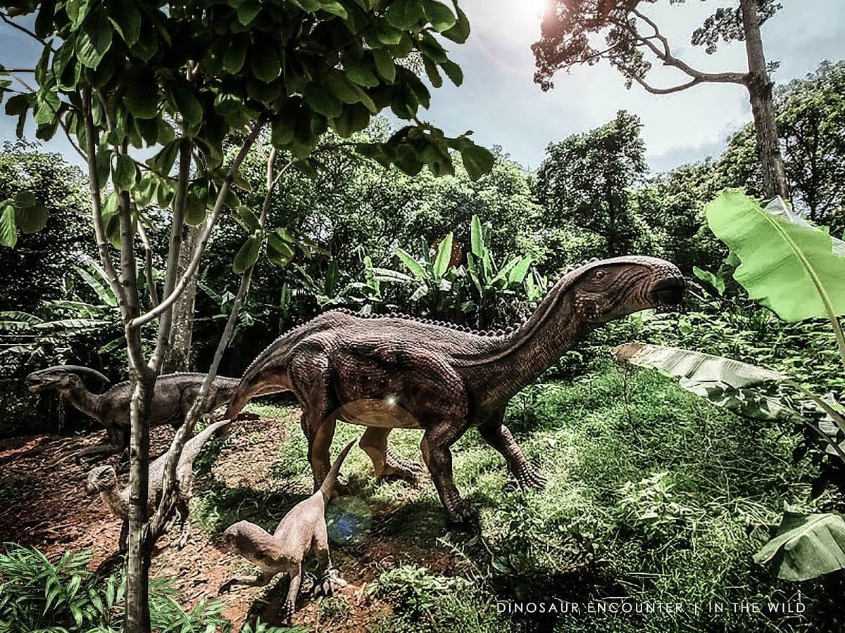 Zoo Melaka Dinosaur Encounter - dinosaurs