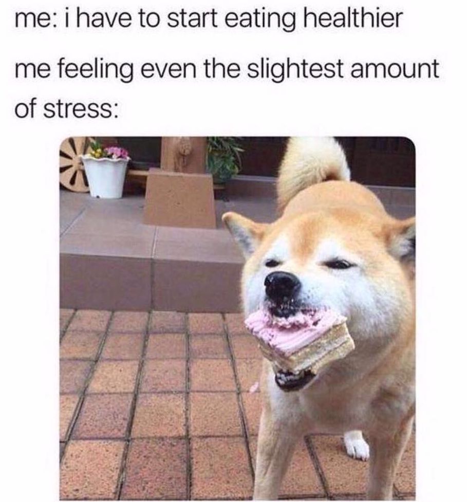 meme about stress eating
