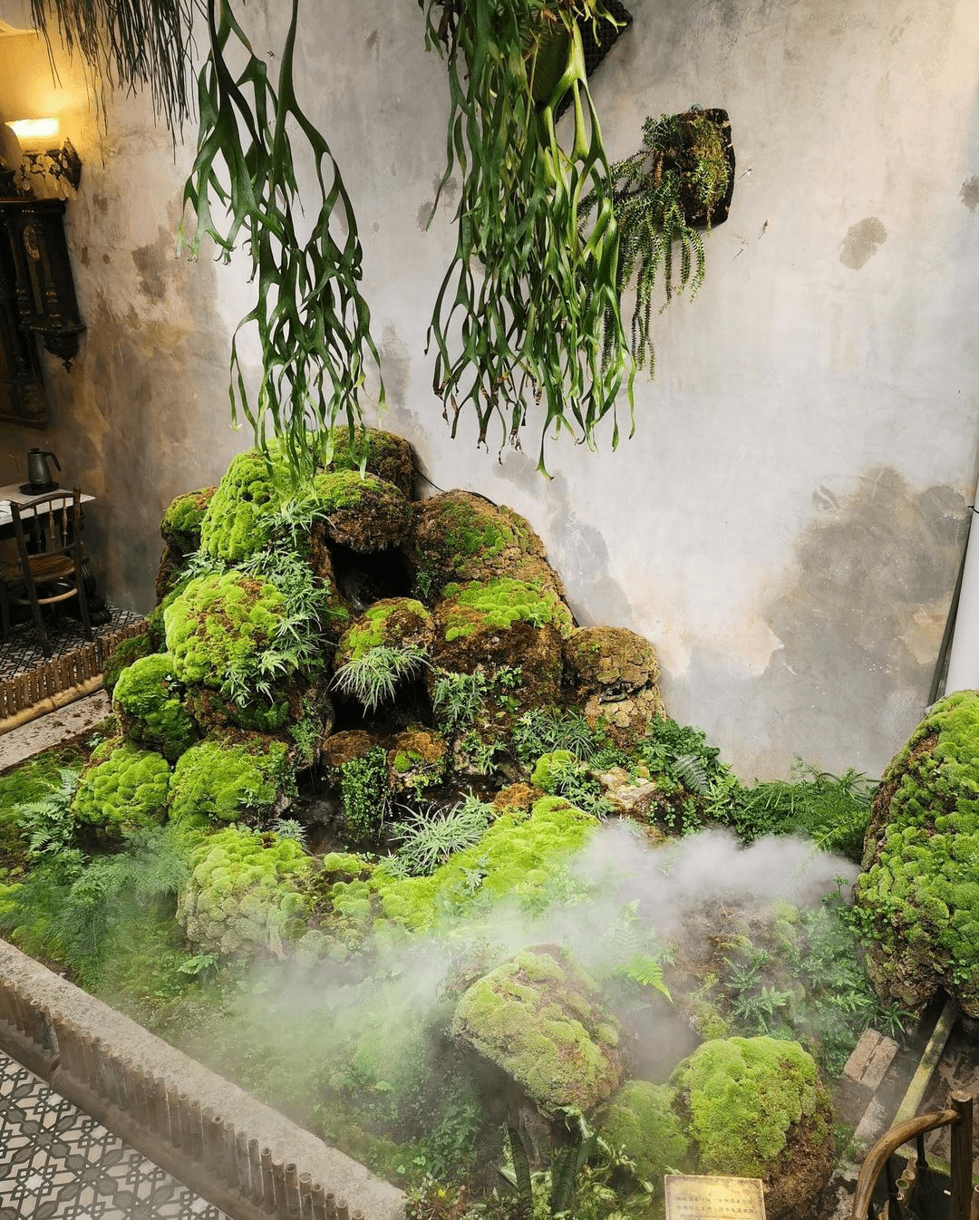 Bao Teck Tea House in Penang has an indoor moss garden - moss garden