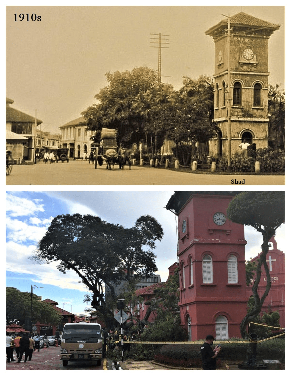 Fallen heritage tree in Melaka's iconic Dutch Square - old photo