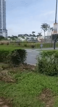 Myvi flies over drain in JB goes viral online - video