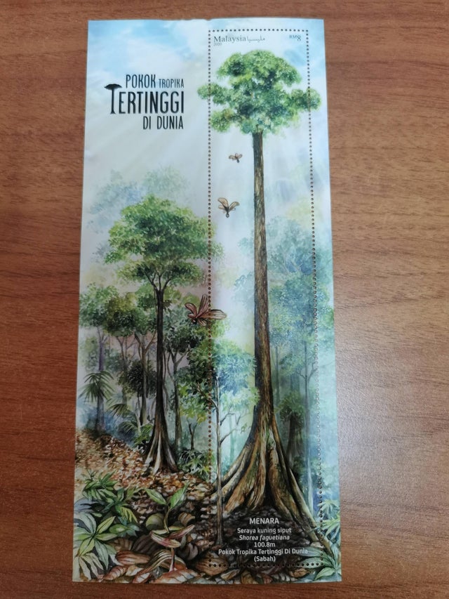 Tallest tree in Sabah - stamp