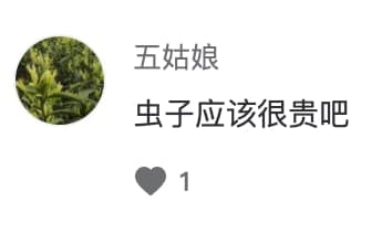 Douyin comment