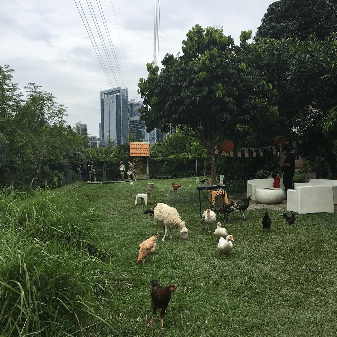 Kebun Kebun Bangsar - garden